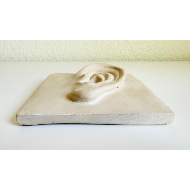 Vintage Plaster Relief of Ear For Sale In Sacramento - Image 6 of 9