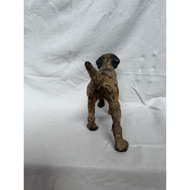 Posing English Setter Ready for the Hunt For Sale In Los Angeles - Image 6 of 12