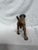 Posing English Setter Ready for the Hunt For Sale In Los Angeles - Image 6 of 12