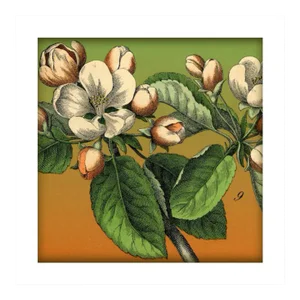 'Blossoms' Archival Reproduction Print