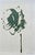 Set of 4 - One-of-a-Kind Dark Green Botanical Organic Modern Original Oil Paintings / Herbarium / Floral For Sale - Image 4 of 9