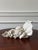 Vintage Grotto Style Wall Sconces— A Pair For Sale - Image 10 of 11