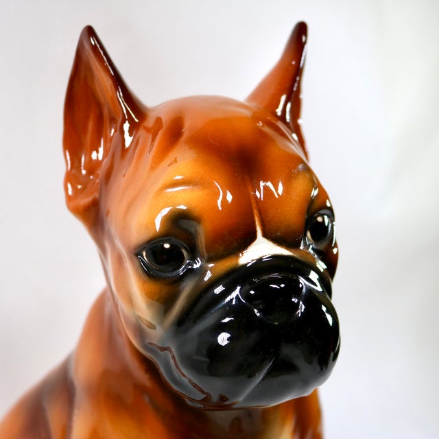 Mid 20th Century Mid-Century Italian Hand Painted Boxer Puppy Large Figurine For Sale - Image 5 of 13