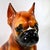 Mid 20th Century Mid-Century Italian Hand Painted Boxer Puppy Large Figurine For Sale - Image 5 of 13