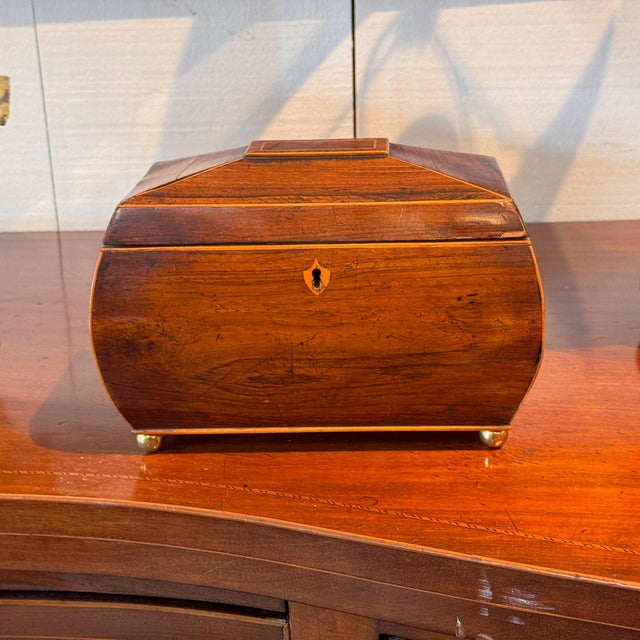 A tea caddy of sarcophagus form with bowed sides and a stepped pyramidal lid, banded throughout in fine light stringing...