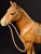 1920s Antique Hubley Cast Iron Standing Horse Figurine, Saddle & Reins, Original Paint C. 1920s For Sale - Image 5 of 11