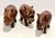 African 1970s Set of 3 Hand-Carved Solid Wood Rhinoceros Sculptures, Textured Hide, Inlaid Teeth and Toenails For Sale - Image 3 of 18