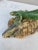 Rare Majolica Palissy Lizard Joseph Landais Circa 1860 For Sale In Austin - Image 6 of 11