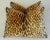 Early 21st Century Scalamandre Silk Leopardo Leopard Velvet Feather/Down Pillows 24" X 18" - Pair For Sale - Image 5 of 6
