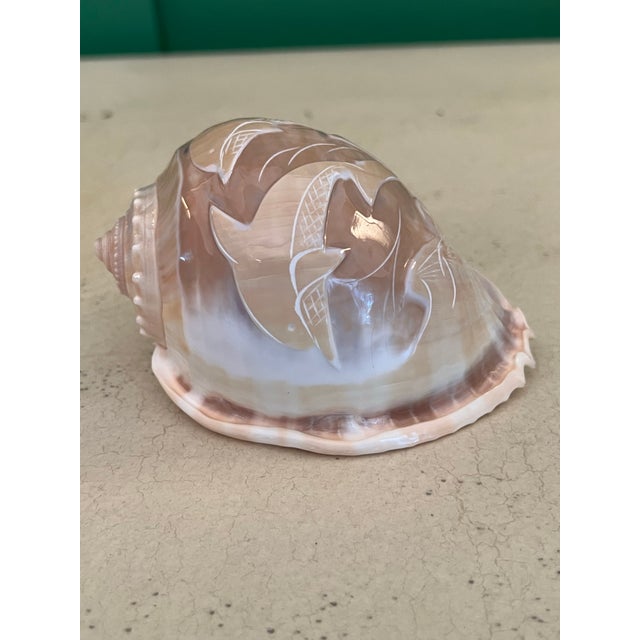 1970s Vintage Carved Scotch Bonnet Seashell With Dolphins For Sale - Image 5 of 8