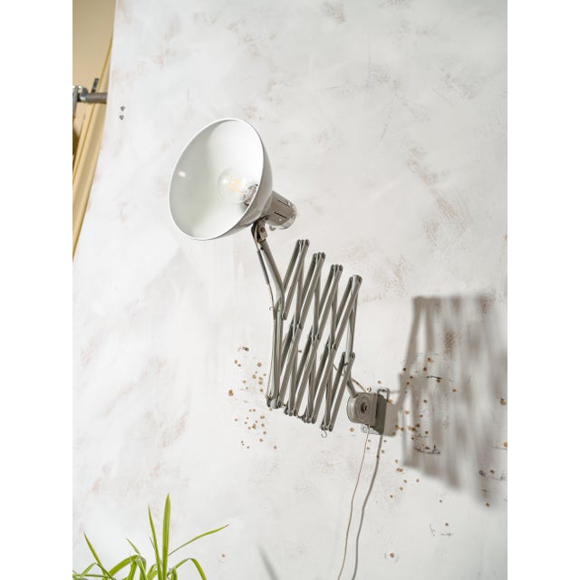 Vintage Gray Hala Zeist Scissor Lamp, 1960s For Sale - Image 9 of 14