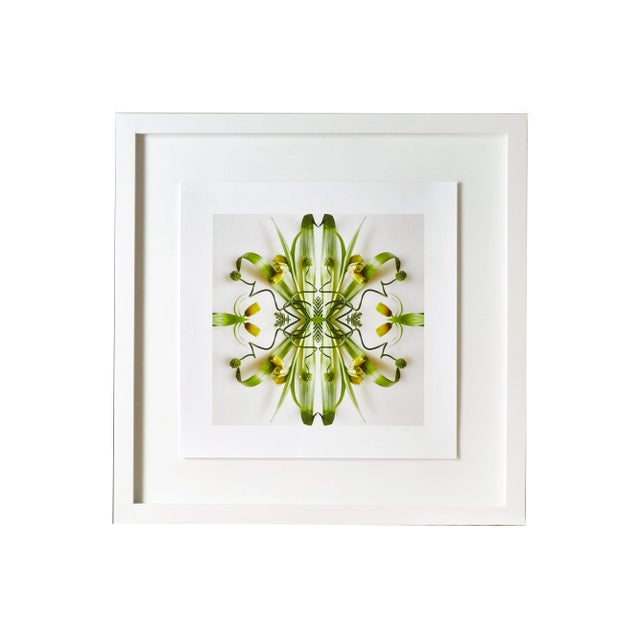 Not Yet Made - Made To Order "No. 1" Contemporary Original Op Art Botanical Limited Edition Print by Erin Derby For Sale - Image 5 of 6