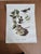 Vintage Audubon Birds of America Prints - Set of 14 For Sale - Image 9 of 15