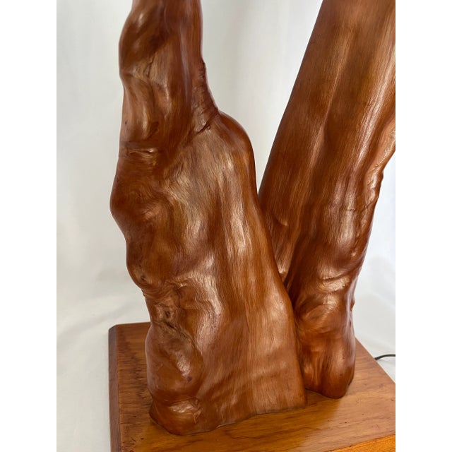 Mid Century Cypress Knee Wooden Lamp For Sale - Image 11 of 13