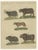 Bertuch, Exotic Cattle, Yak & Buffalo, 1800, Engraving For Sale - Image 6 of 10