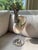 A stunning example of Italian decorative artistry from the 1970s, this sculptural shorebird features a luminous,...