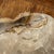 Large Beige Petrified Wood Storage Tray or Dish For Sale - Image 18 of 18