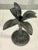 Vintage Palm Beach Regency Patinated Brass Palm Tree Candlestick Holder For Sale - Image 4 of 6