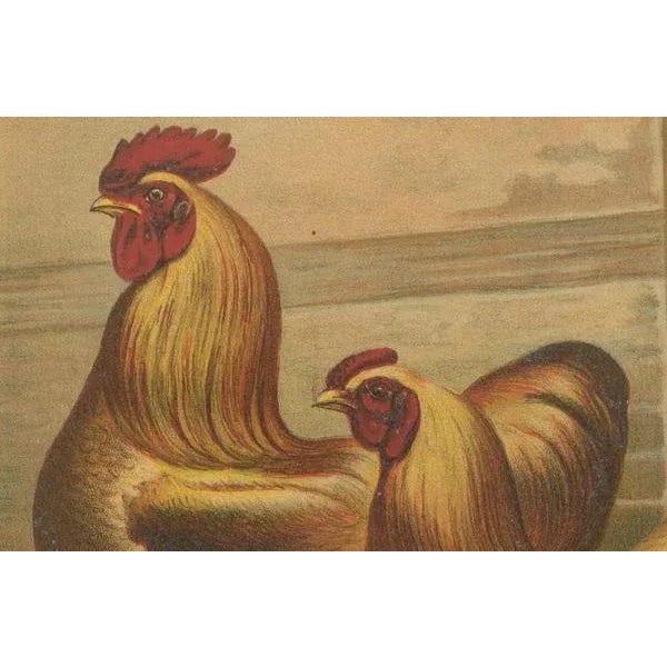 Late 19th Century Volschau, Golden Cochinchina, Lithograph, 1888 For Sale - Image 5 of 10