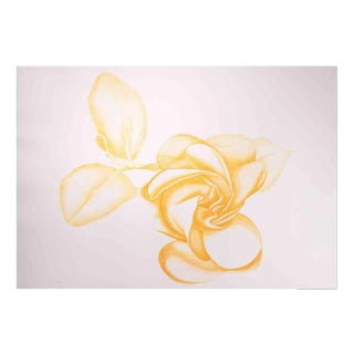 Giacomo Porzano, Yellow Rose, Etching, 1972 For Sale