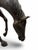 Metal Bronze Grazing Horse Garden Sculpture For Sale - Image 7 of 17