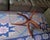 Mid-Century Danish Coffee Table in Teak with Circular Glass Top, 1960s For Sale - Image 5 of 11