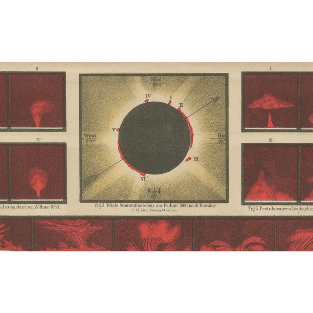 Antique Solar Study Chart, 1890s For Sale - Image 6 of 9