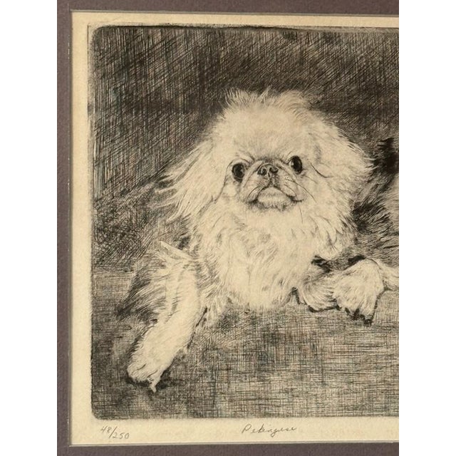 Printmaking Materials Don Swann ( 1889-1954 Us) Signed "Pekingese" Etching #48/250 LTD Ed Print Framed For Sale - Image 7 of 9