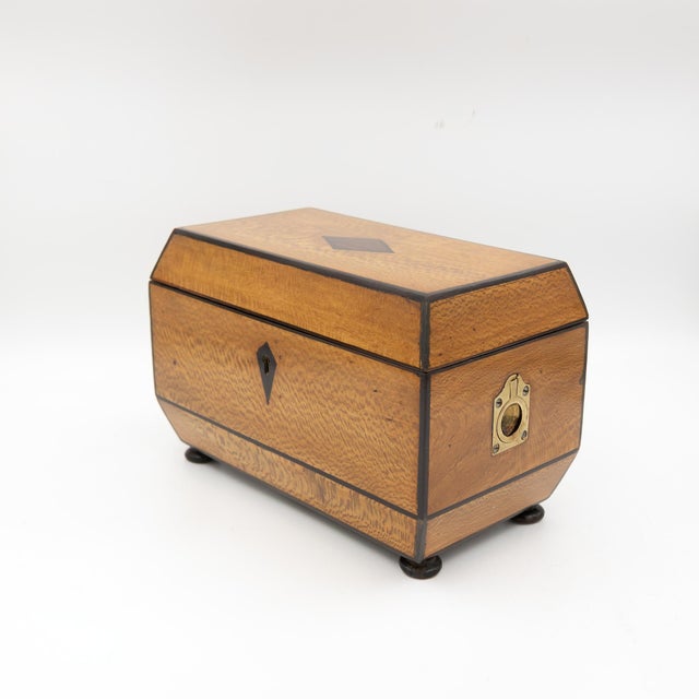 Early 19th Century Solid Lacewood Box With Campaign Handles For Sale - Image 10 of 13