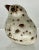 Ceramic Figurine of a Seagull Chick by Anderson Design Studio of Maine For Sale In Providence - Image 6 of 9