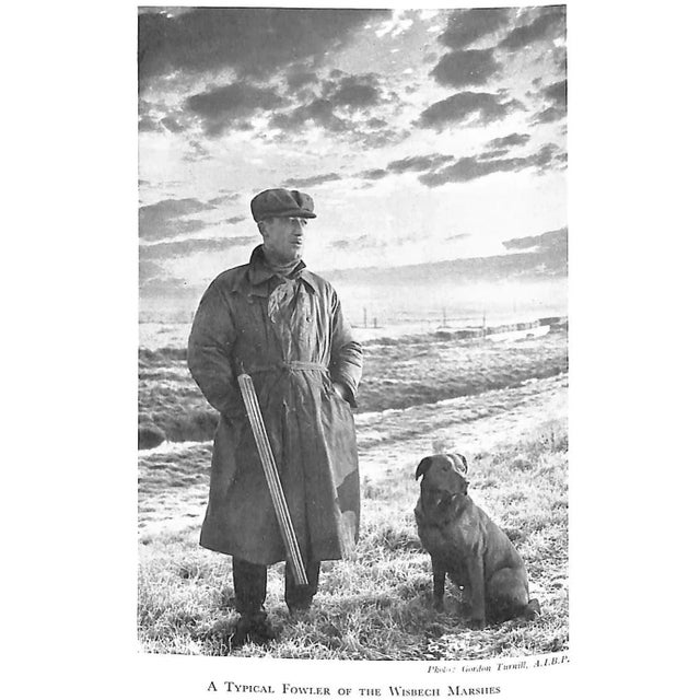 "High Birds and Low" 1950 Richards, Coombe For Sale - Image 11 of 13