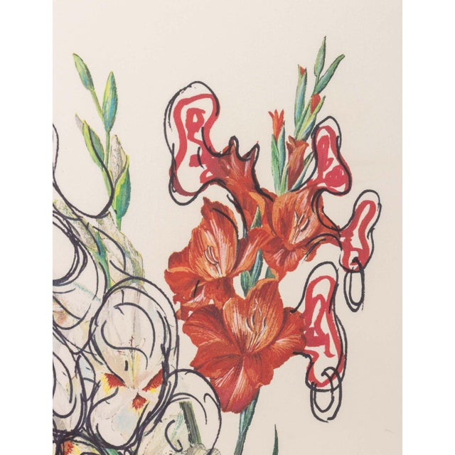 Contemporary Salvador Dali "Gladiolus (Ears)" Etchings, 1972 For Sale - Image 3 of 12