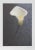 Artist: Harvey Edwards Title: Solo Flower Year: 1976 Medium: Offset Lithograph, Signed and numbered Edition: 3000 Image...