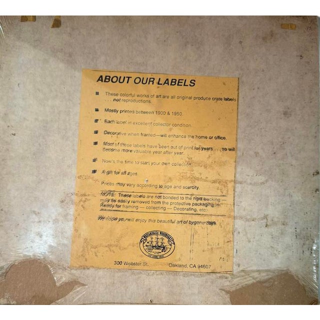 Lot of Four Vintage 1900-1950 Original Fruit Crate Labels• Not Reproductions For Sale - Image 11 of 12