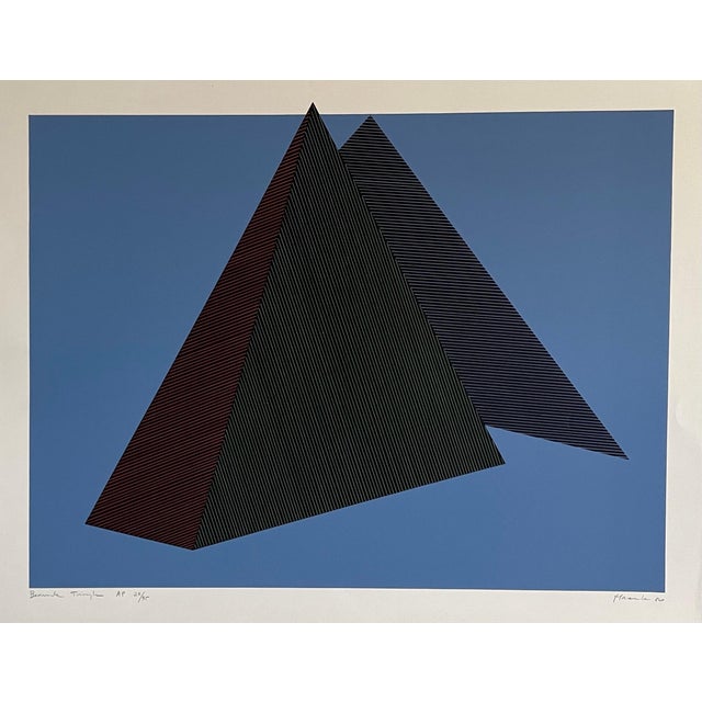 Jean-Marie Haessle, Jean Marie Haessle Abstract Geometric Op Art Silkscreen Lithograph Print, 1980 For Sale - Image 4 of 6