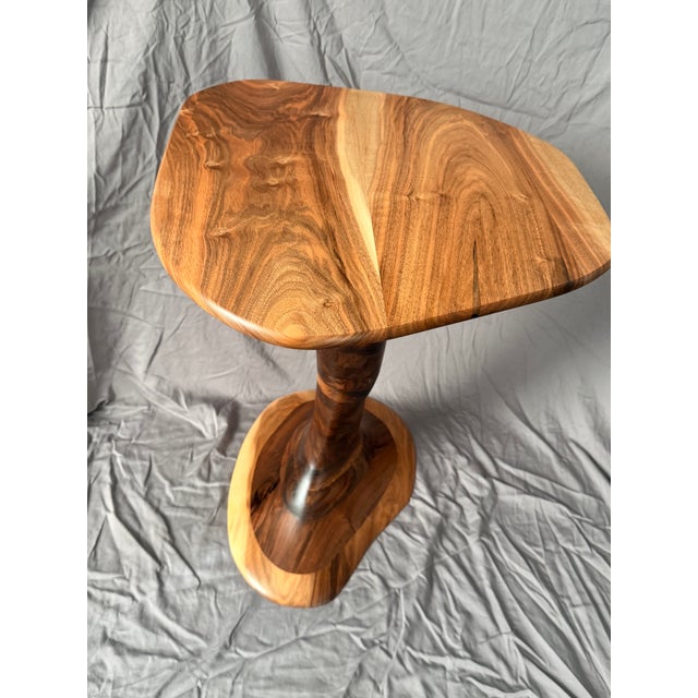 The Zebra Slot Hoodoo Side Table by Green Coyote For Sale - Image 12 of 14