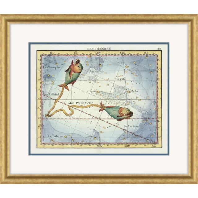 Pisces Framed Art Print from The Scholar Series by David Phoenix ABOUT THE SCHOLAR SERIES BY DAVID PHOENIX: In their first...