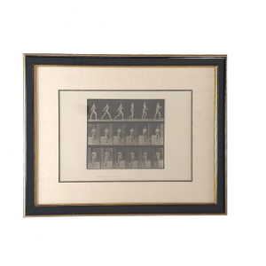 "Animal Locomotion", Eadweard Muybridge, 1887, Plate 10