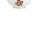 Coats of Arms Bowls in Porcelain, Set of 2 For Sale - Image 3 of 6