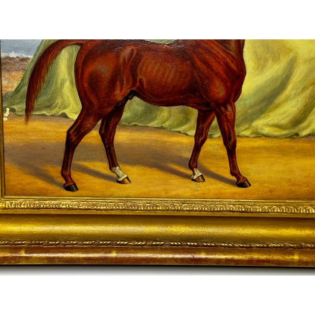 Circa Early 1900 English Victorian Oil Painting Purebred Red Chestnut Arab Horse in Bombay Stables I For Sale - Image 10 of 11