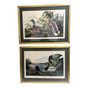 Mallard Duck and Canvasback Duck, After John James Audubon, 20th Century - Set of 2