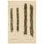 Sugarcane, 1892, Paper For Sale - Image 10 of 10