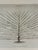 Natural Curiosities William Forsyth “Peach” 1802 Horticultural Botanical Print For Sale - Image 4 of 10