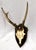 Rustic European 1914 Dated German Roe Deer Antlers on Display Plaque For Sale - Image 3 of 8