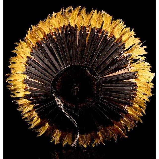 Contemporary Home Décor Juju Hat Feathers in Yellow, 21 Century Wall Décor Feathers in Yellow For Sale - Image 4 of 6