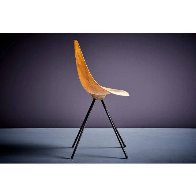 Plastic French Fiberglass Chair by Jean-René Picard for S.E.T.A, 1950s For Sale - Image 7 of 13