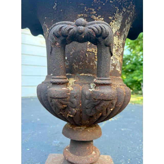 Huge Antique Late Victorian French Heavy Cast Iron Outdoor Planter Urn W/ Handle For Sale - Image 15 of 17