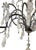 Elegant Italian Rock Crystal & Black Metal Chandelier. 20th Century. For Sale - Image 10 of 11