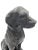 Realism Antique Bronze Sporting Dog For Sale - Image 3 of 9