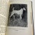 Antique White 1955 Fox Terriers Book For Sale - Image 8 of 10